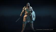 A Warlord with a basic, yet satisfying armor set