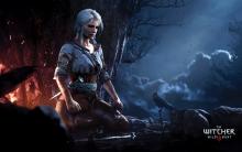 The Witcher 3's compelling cast will draw you in.
