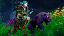 A night elf huntress and her pet nightsaber