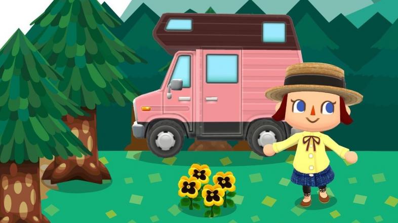 Animal Crossing Pocket Camp Leaf Tickets