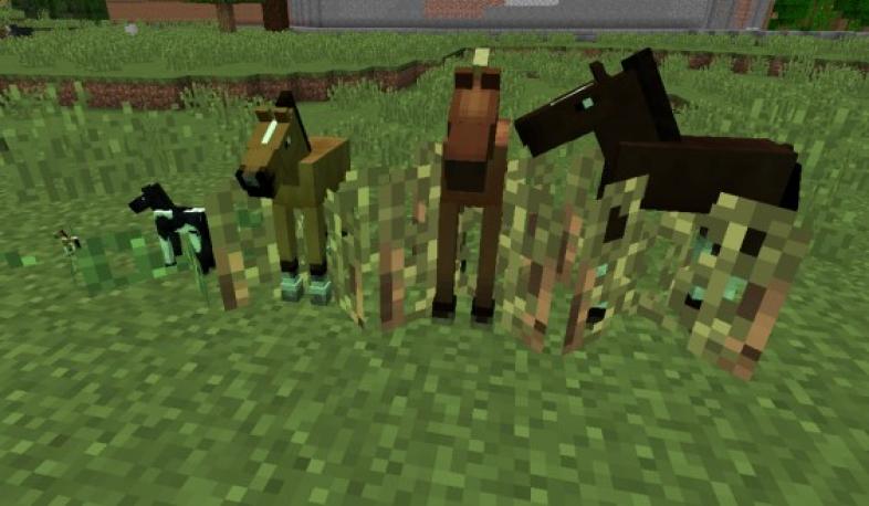 Top 10] Minecraft Best Animal Mods For Great Fun! | GAMERS DECIDE