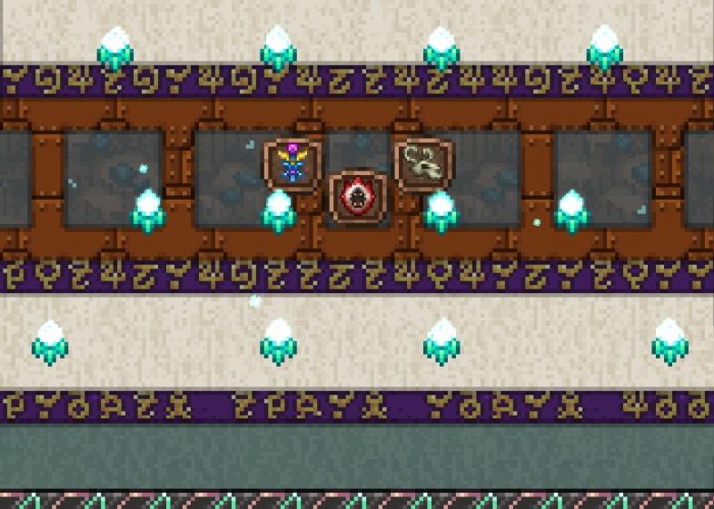 How to Get 7 Accessory Slots in Terraria 