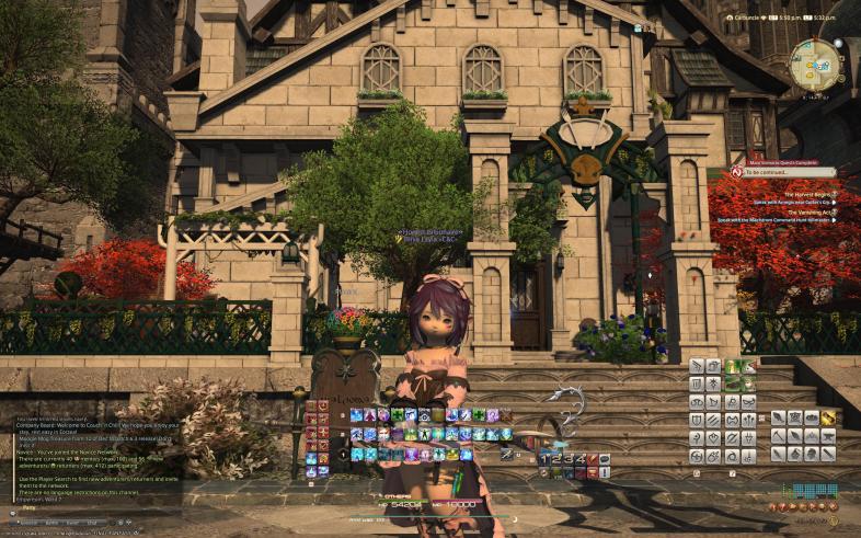 [Top 25] FF14 Best UI Settings For PC!