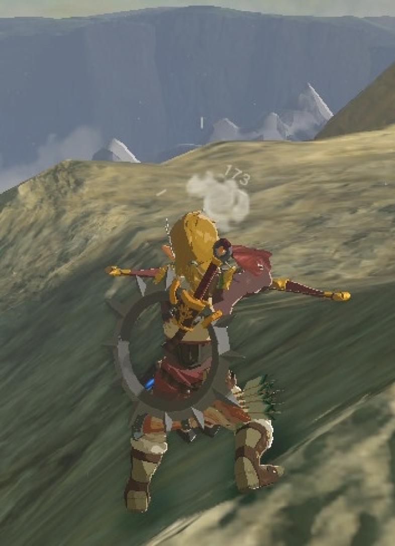 Breath of The Wild Best Bows