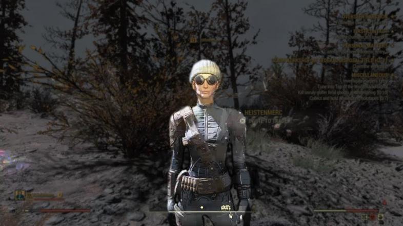 Fallout 76 best under armor