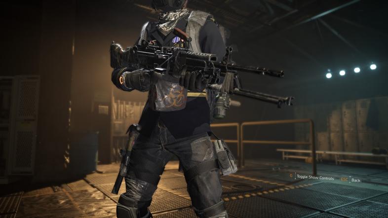 Division 2 most accurate LMG