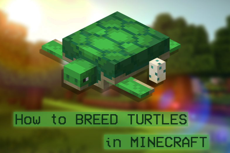 Thumbnail of a Turtle in Minecraft