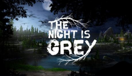 Be The Hero and Rescue the Damsel In Distress In the Point-and-Click Adventure Game -The Night Is Grey