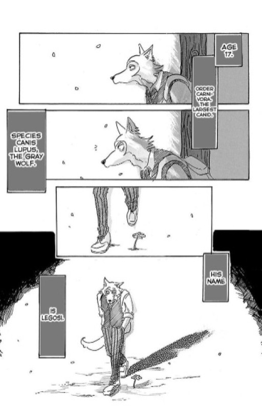Body Image