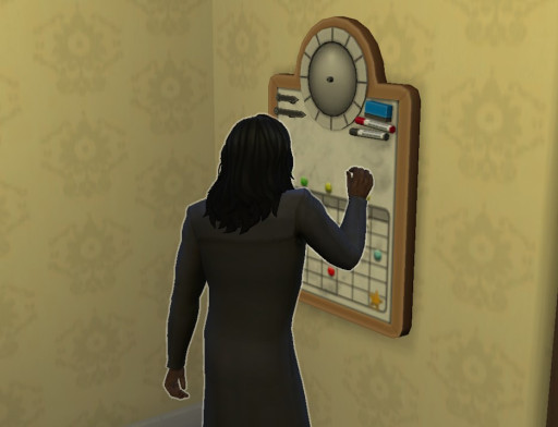 Body Image