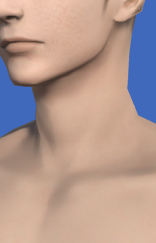 Body Image