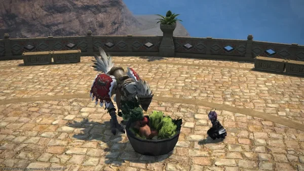 FF14 Best Housing Items FF14 Best Housing Items