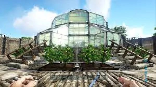 Ark Survival Evolved How To Farm