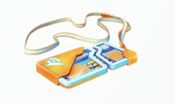 What's a raid pass, why is a raid pass used for