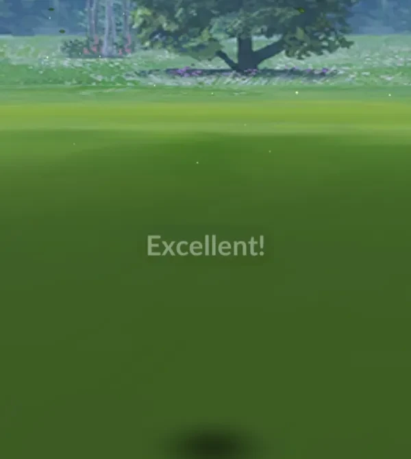 How to throw excellent in Pokemon Go, how to catch a Pokemon in Pokemon go