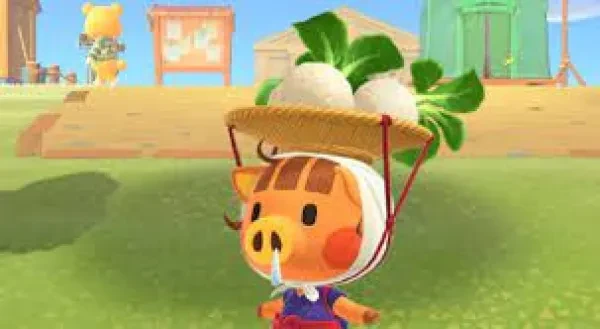 Daisy Mae, the turnip-selling pig in Animal Crossing: New Horizons daisy mae, turnips, animal crossing, animal crossing: new horizons