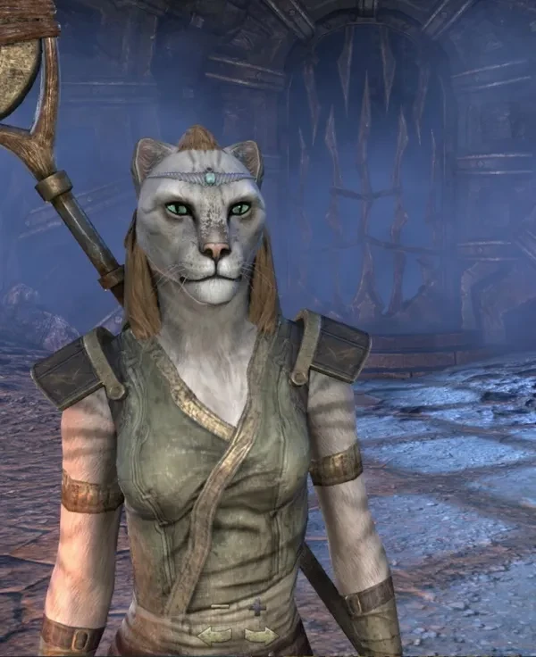 Top ten best necromancer sets in Elder Scrolls Online