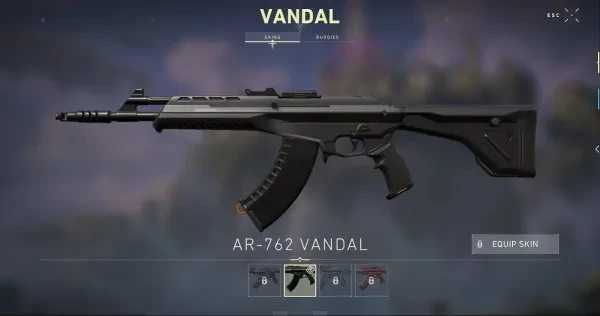 Just your normal Vandal, it's all about who's carrying it Just your normal Vandal, it's all about who's carrying it