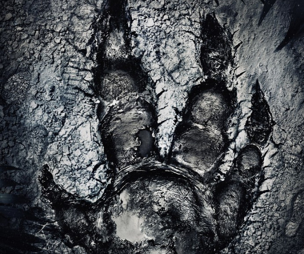 Evolve
