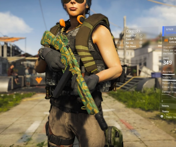 Division 2 Best Assault Rifles