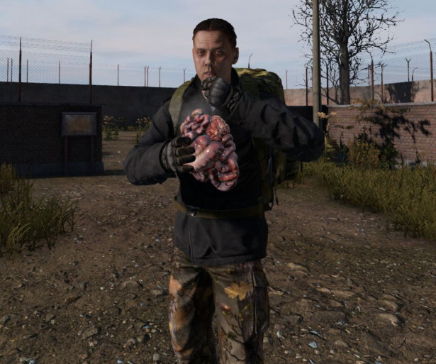 DayZ How To Cure Sickness