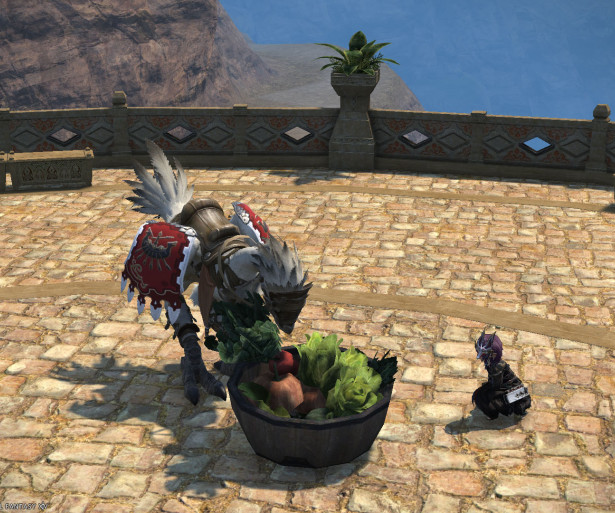 FF14 Best Housing Items