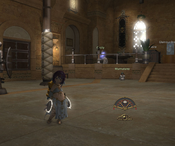 FF14 How To Hide UI