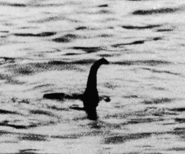 list of cryptids