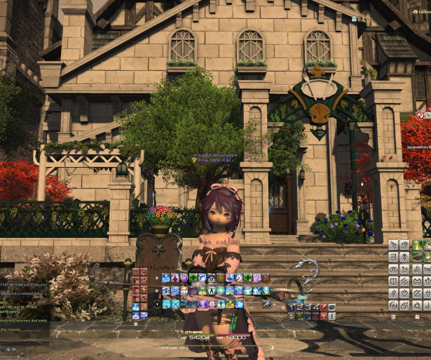 [Top 25] FF14 Best UI Settings For PC!