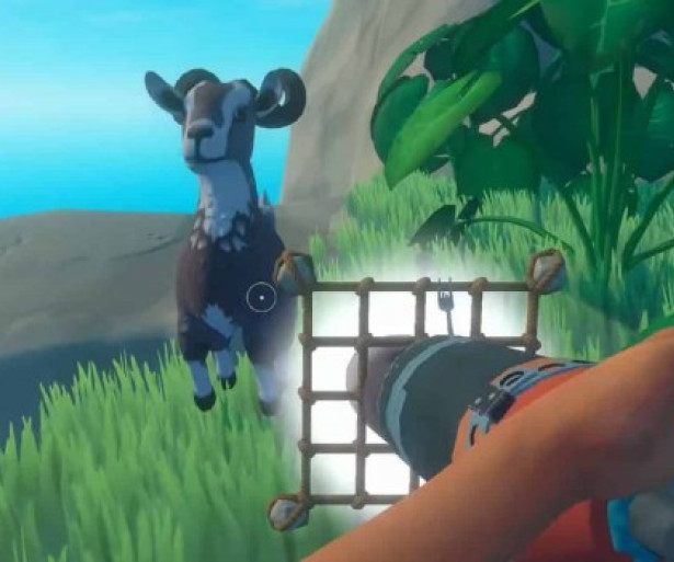 Raft Best Ways To Get The 5 Most Useful Animal Products