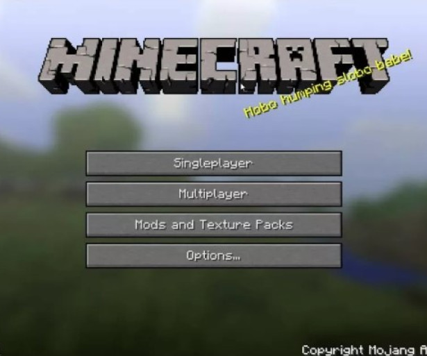 Best Cracked Servers That Are Fun
