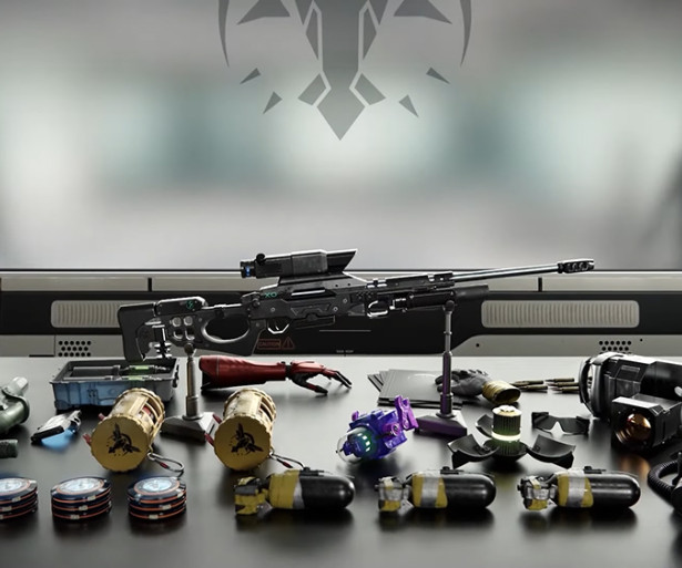 Top 10 Best Long-Range Guns in R6 Siege