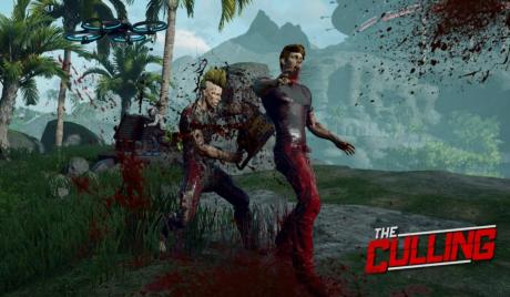 the culling preview