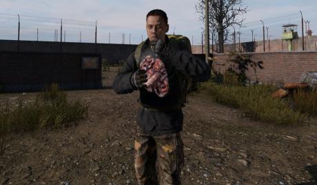 DayZ How To Cure Sickness