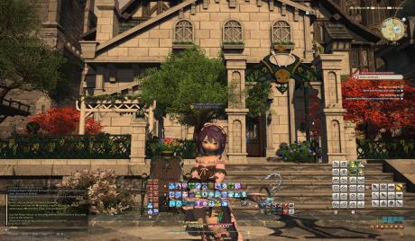 [Top 25] FF14 Best UI Settings For PC!
