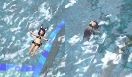 FF14 How To Dive