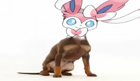 Who is Sylveon, how to catch Sylveon 