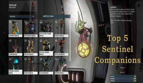 [Top 5] Warframe Best Sentinel Companions (And How To Get Them)-1