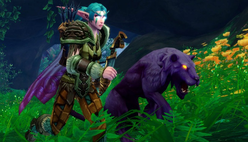 Top 10 Coolest Hunter Pets Wow I Remember During Wotlk There Was A